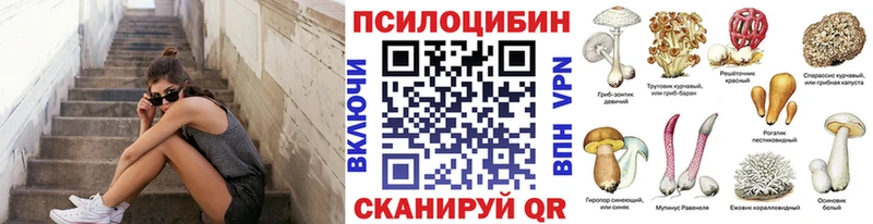 закладки  Тетюши  Псилоцибиновые грибы ЛСД 